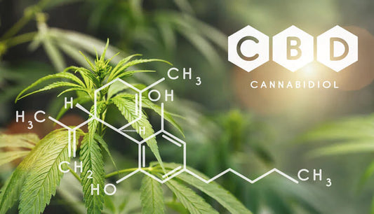 CBD: efectos y efectos secundarios