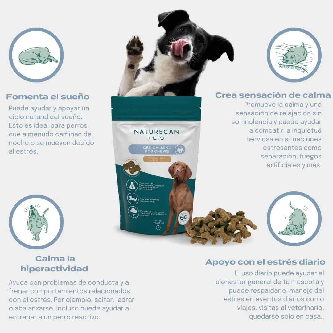 Snacks CBD relajantes para perros | Naturecan España