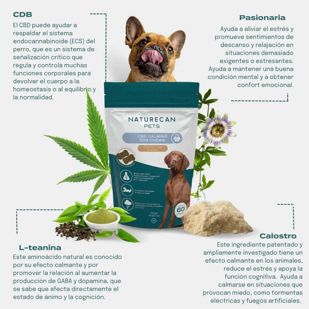 Ingredientes de los snacks de CBD relajantes para perros