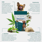 Ingredientes de los snacks de CBD relajantes para perros
