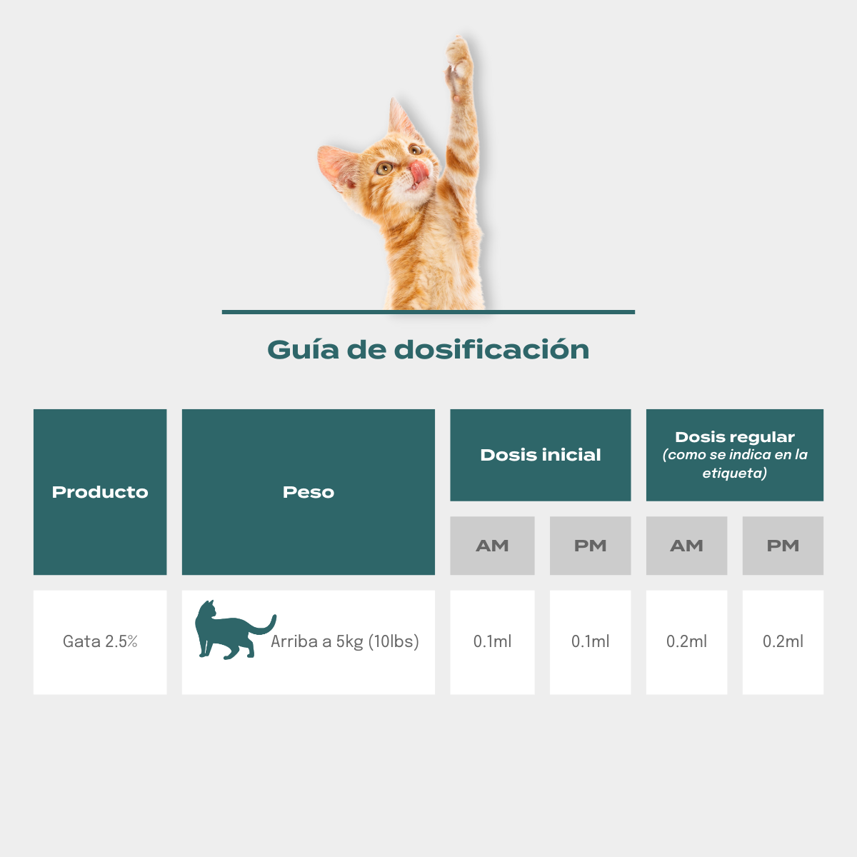 Dosis de CBD para gatos