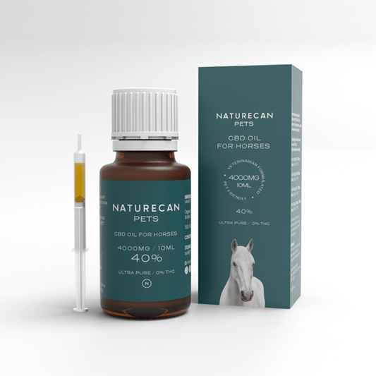 Aceite CBD para Caballos