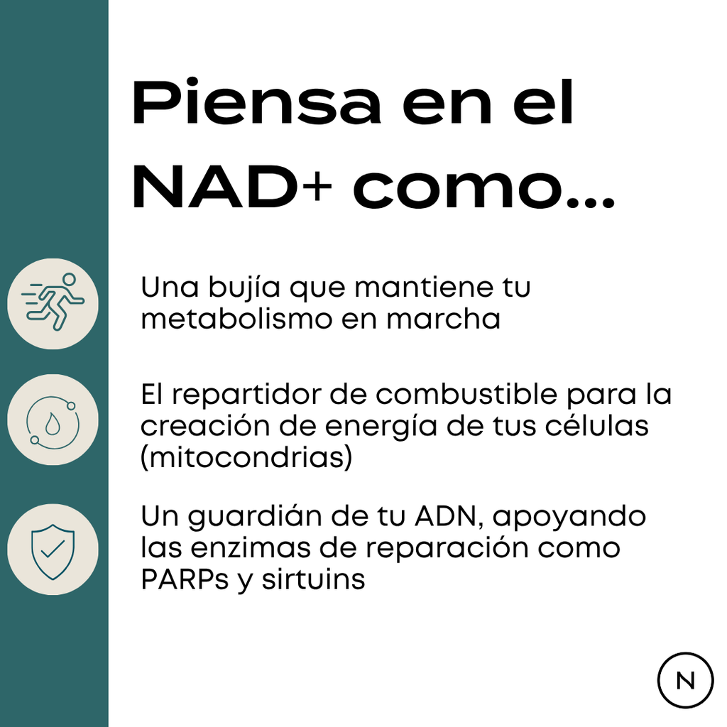 Cápsulas NR