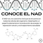 Suplemento NAD (NR) de Naturecan