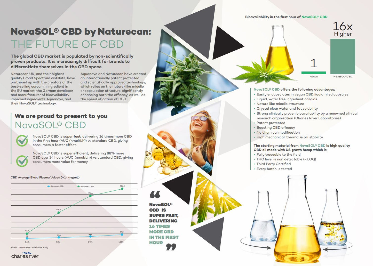 Cápsulas CBD Micelares con Curcuminoides